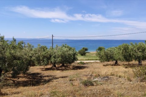 13750m² Land en Polygyros, Greece No. 56571 7