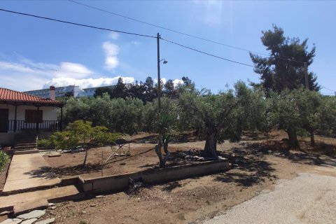 13750m² Land in Polygyros, Greece No. 56571 13