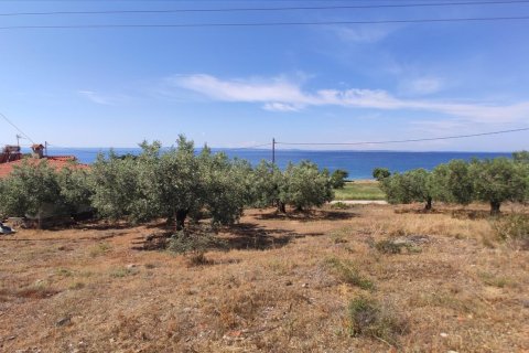 13750m² Land in Polygyros, Greece No. 56571 3