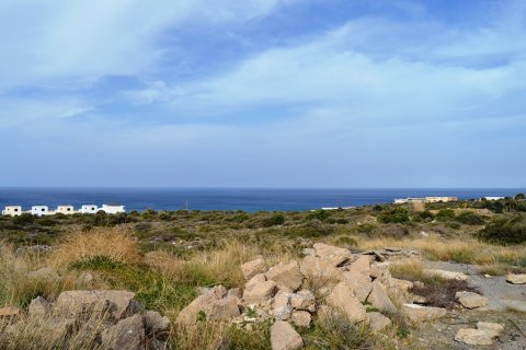 20000m² Land in Hersonissos, Greece No. 58238 2