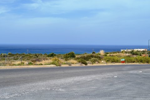 20000m² Land en Hersonissos, Greece No. 58238 1