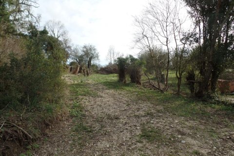 35000m² Land en Corfu, Greece No. 58242 11