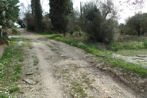 35000m² Land en Corfu, Greece No. 58242 7