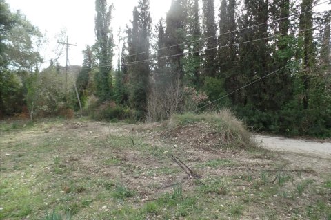 35000m² Land en Corfu, Greece No. 58242 1