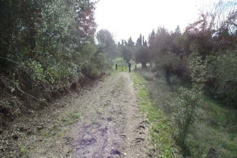 35000m² Land in Corfu, Greece No. 58242 10