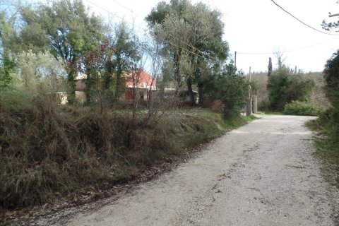 35000m² Land in Corfu, Greece No. 58242 4