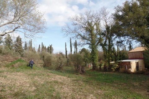 35000m² Land in Corfu, Greece No. 58242 3