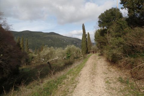 35000m² Land in Corfu, Greece No. 58242 13