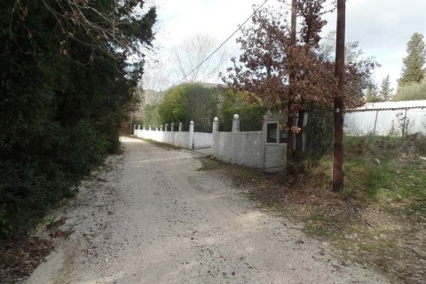 35000m² Land in Corfu, Greece No. 58242 5