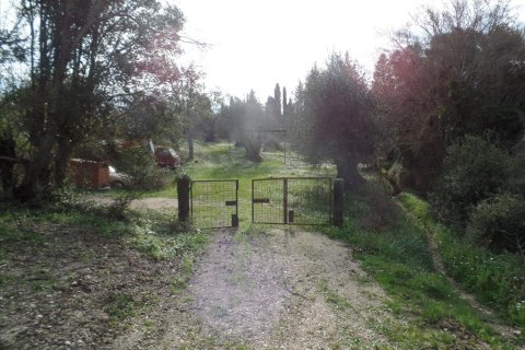 35000m² Land in Corfu, Greece No. 58242 12