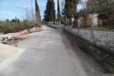 35000m² Land in Corfu, Greece No. 58242 6