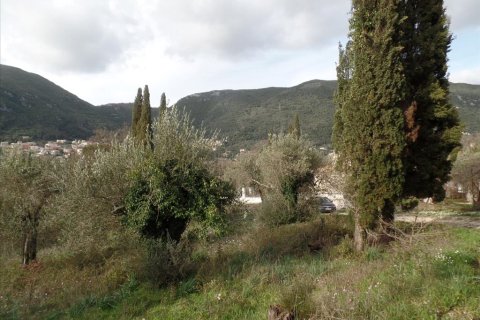 35000m² Land en Corfu, Greece No. 58242 9