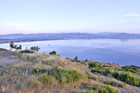 4904m² Land à Loutraki, Greece No. 59634 2