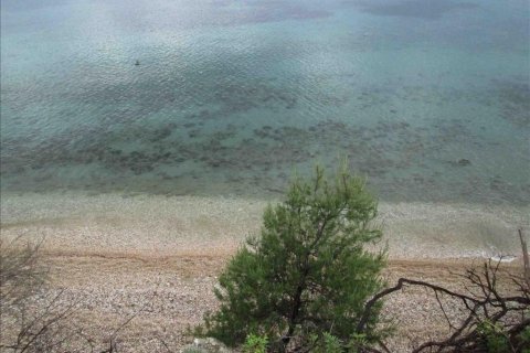 54096m² Land in Chalkidiki, Greece No. 59631 15