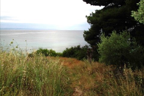 54096m² Land à Chalkidiki, Greece No. 59631 6