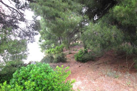 54096m² Land en Chalkidiki, Greece No. 59631 7