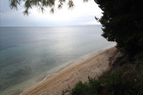 54096m² Land in Chalkidiki, Greece No. 59631 11