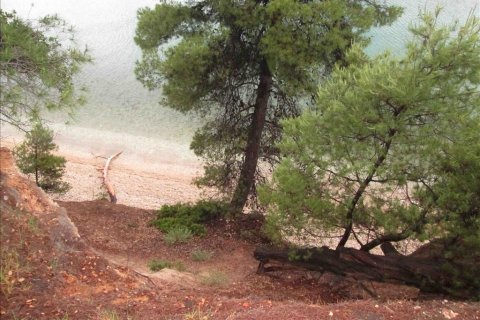 54096m² Land in Chalkidiki, Greece No. 59631 1