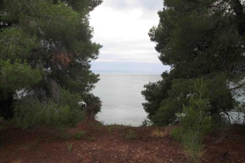 54096m² Land in Chalkidiki, Greece No. 59631 16