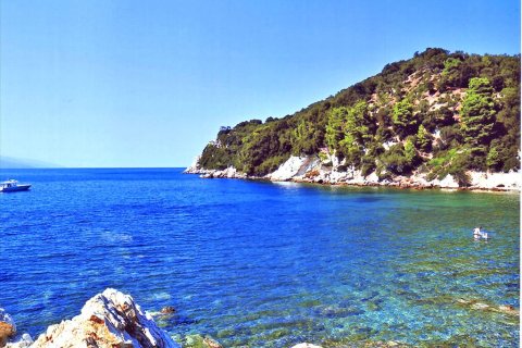 30000m² Land in Sporades, Greece No. 59635 1