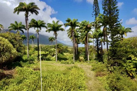 24 rooms Villa à Ottley's, Saint Kitts and Nevis No. 61428 10