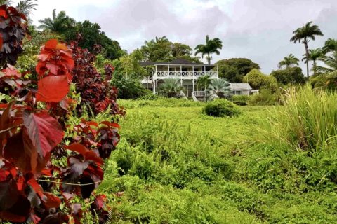 24 rooms Villa à Ottley's, Saint Kitts and Nevis No. 61428 4