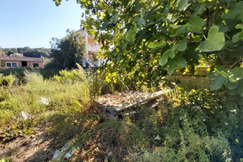 1070m² Land en Corfu, Greece No. 55857 8