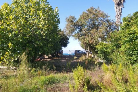 1070m² Land à Corfu, Greece No. 55857 6