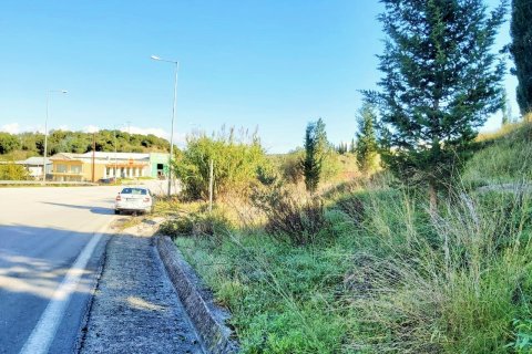 5500m² Land in Corfu, Greece No. 55782 6