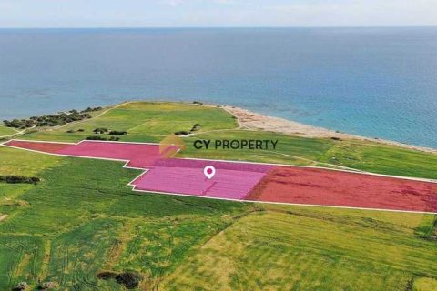 36456m² Land à Mazotos, Cyprus No. 41932 2