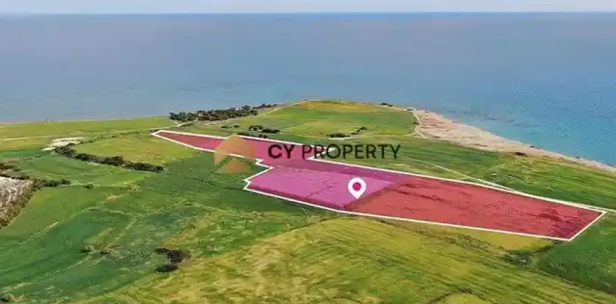 36456m² Land à Mazotos, Cyprus No. 41932