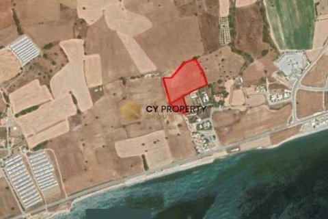 11920m² Land à Kofinou, Cyprus No. 41931 1