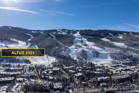 3 bedrooms Condo  in Vail, USA No. 73819 24