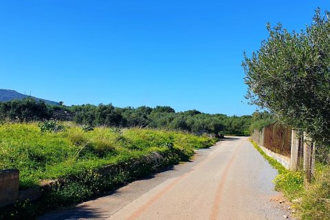 9600m² Land in Hersonissos, Greece No. 56394 3