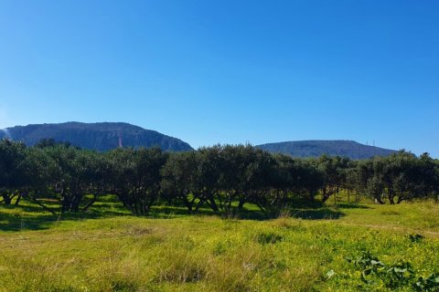 9600m² Land en Hersonissos, Greece No. 56394 2