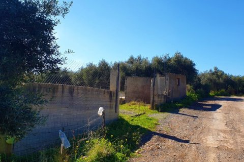 9600m² Land à Hersonissos, Greece No. 56394 6