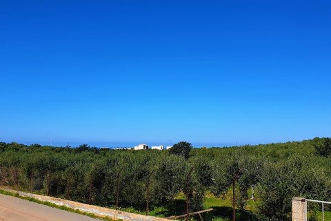 9600m² Land in Hersonissos, Greece No. 56394 1