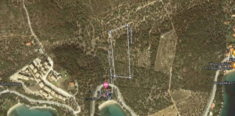 10000m² Land en Chalkidiki, Greece No. 56396