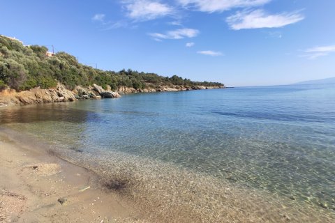 3700m² Land in Chalkidiki, Greece No. 56395 2