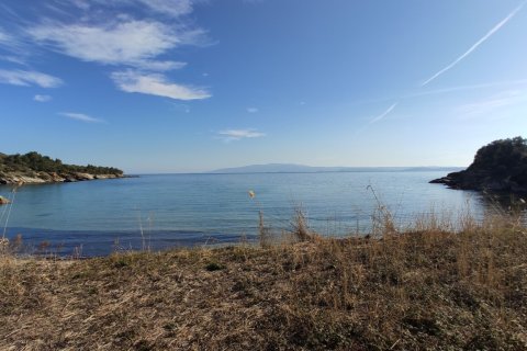 3700m² Land in Chalkidiki, Greece No. 56395 7