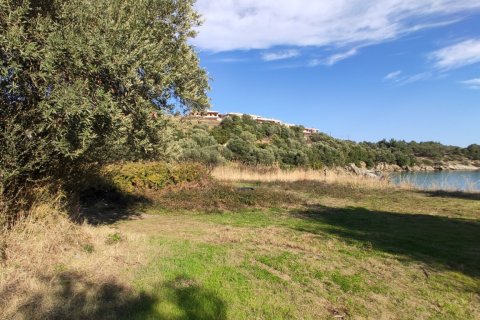 3700m² Land in Chalkidiki, Greece No. 56395 14