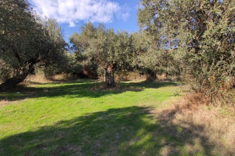 3700m² Land en Chalkidiki, Greece No. 56395 13