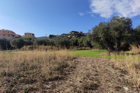 3700m² Land in Chalkidiki, Greece No. 56395 11