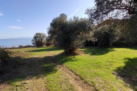 3700m² Land à Chalkidiki, Greece No. 56395 8