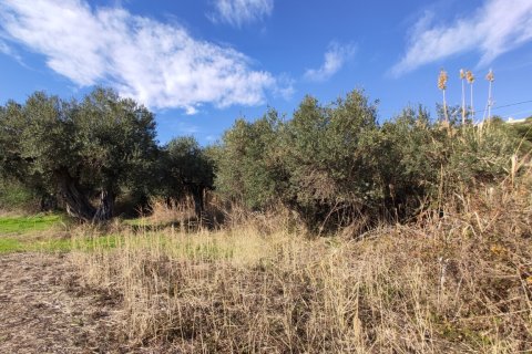 3700m² Land en Chalkidiki, Greece No. 56395 6