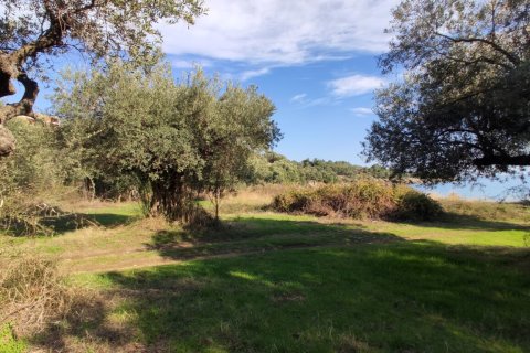 3700m² Land in Chalkidiki, Greece No. 56395 16