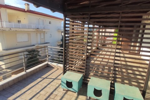 250m² Maisonette en Katerini, Greece No. 55750 28