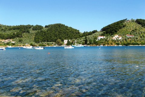 4000m² Land à Sporades, Greece No. 56838 2