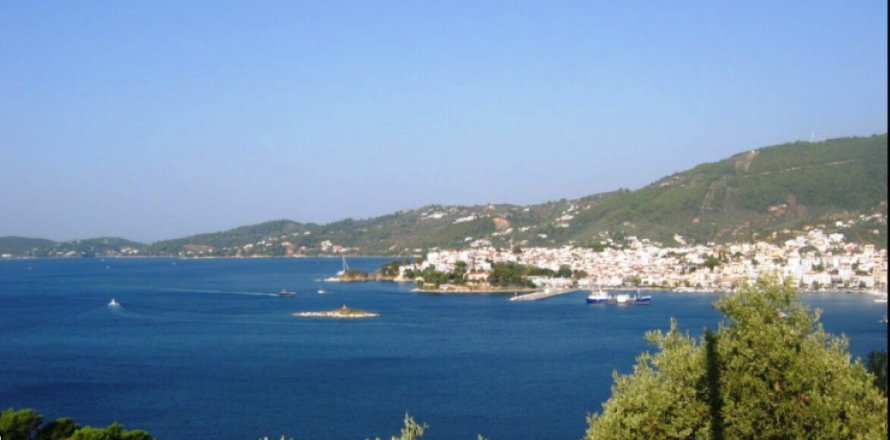 4000m² Land in Sporades, Greece No. 56838