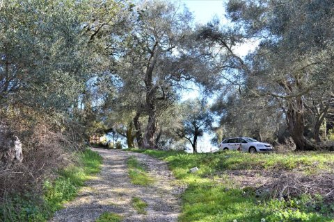 70000m² Land in Corfu, Greece No. 56660 17